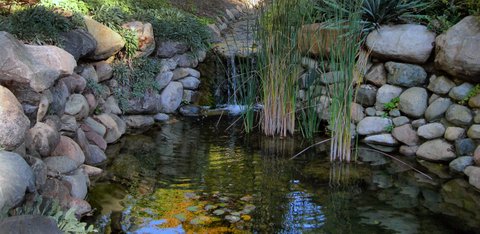 piscina ecologica piscina natural estanque lago construccion diseño