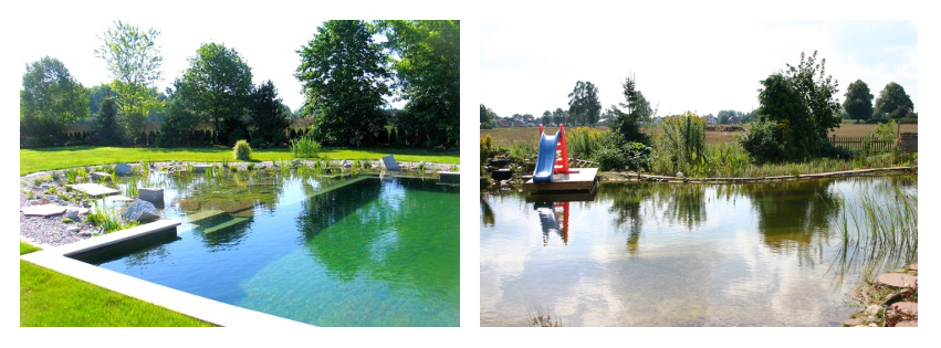 piscina ecologica ausbar construccion diseño mantenimiento