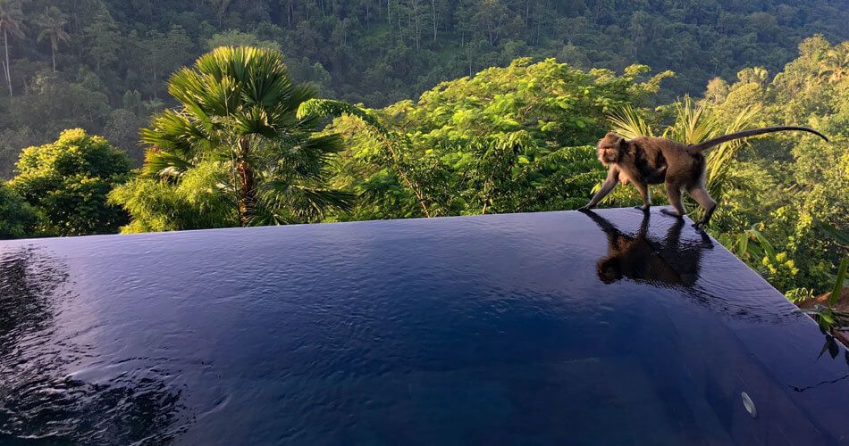 piscina en bali